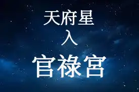 天府星在官祿宮/事業宮