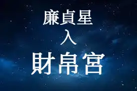 廉貞星在財帛宮