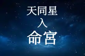 天同星在命宮