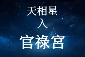 天相星在官祿宮/事業宮