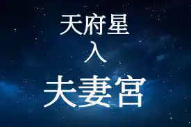 天府星在夫妻宮