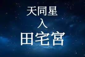 天同星在田宅宮