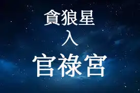 貪狼星在官祿宮/事業宮