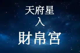 天府星在財帛宮