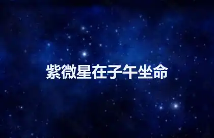 紫微星在子午坐命