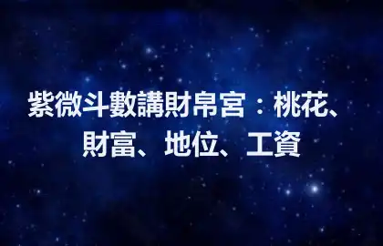 紫微斗數講財帛宮：桃花、財富、地位、工資
