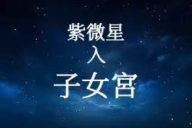 紫微星在財帛宮